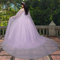 Quinceañera Sample Dress QY302