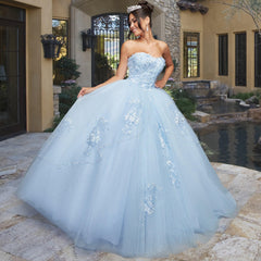 Quinceañera Sample Dress QX403
