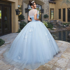 Quinceañera Sample Dress QX403