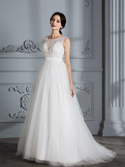 A-Line/Princess Sleeveless V-neck Sweep/Brush Train Tulle Wedding Dresses