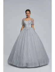 Ball Gown Prom Dresses Princess Dress Graduation Floor Length Short Sleeve Sweetheart Tulle with Sequin