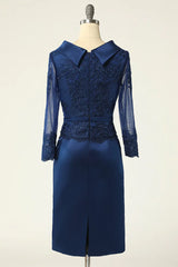 Bodycon Long Sleeves Mother of the Bride Dresses