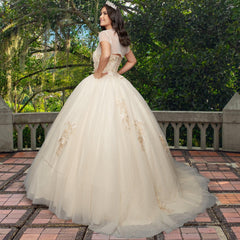 Quinceañera Sample Dress QX403