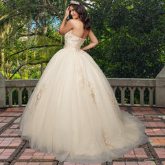 Quinceañera Sample Dress QX403