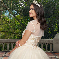 Quinceañera Sample Dress QX403