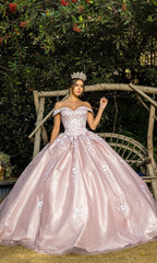 Quinceanera Ball Gown 8060J