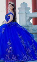 Quinceanera Ball Gown 8100J
