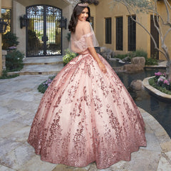 Quinceañera Sample Dress QF117