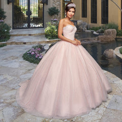 Quinceañera Sample Dress QY302