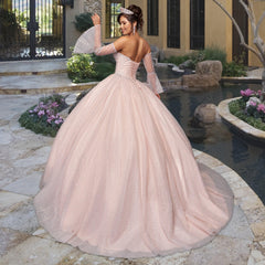 Quinceañera Sample Dress QY302