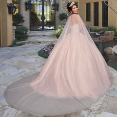 Quinceañera Sample Dress QY302