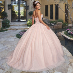 Quinceañera Sample Dress QY302