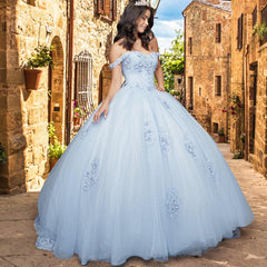 Quinceañera Sample Dress QY307