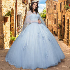 Quinceañera Sample Dress QY307