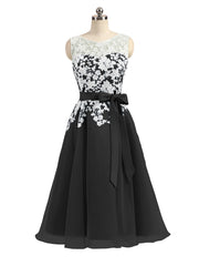 Illusion Neck Organza with Ivory Lace Appliqued Black
