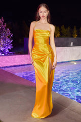 Cinderella Divine BD111 Fitted Long Evening Gown