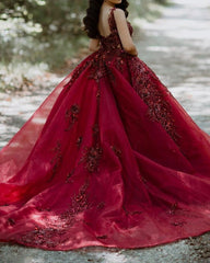 Ball Gown Organza Dresses Lace Embroidery Beaded V Neck