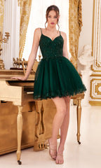 Short Homecoming Dress  CD0213 with Embroidery