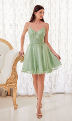 Short Homecoming Dress  CD0213 with Embroidery