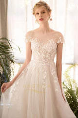 Embroidered Organza Wedding Dresses with Applique