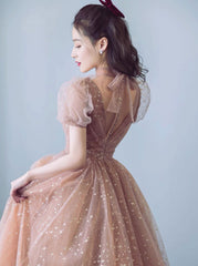 Champagne v neck tulle long prom dress, champagne A line evening dress