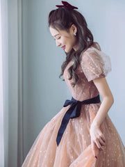 Champagne v neck tulle long prom dress, champagne A line evening dress