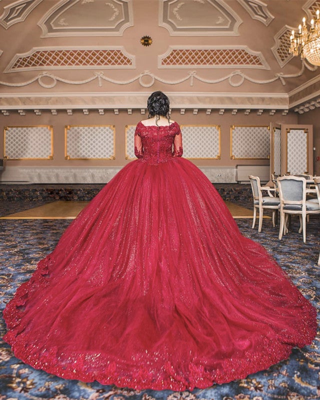 Elegant Ball Gown Quinceanera Dresses Lace Long Sleeves