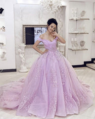 Elegant Organza Ball Gown Dresses Off Shoulder Lace Appliques