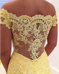 Elegant Mermaid V-neck Off Shoulder Lace Dress