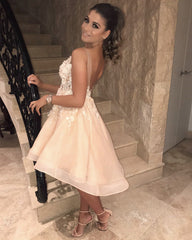 Elegant V Neck Organza Homecoming Dresses Floral Lace Embroidery