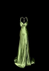 Gorgeous Prom Dress Green Spaghetti Straps Backless Pleated Evening Dress Gala Dress Party Dress HZ0319