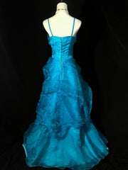 Vintage Prom Dress Spaghetti StrapsTulle Evening Dress Birthday Party Dress HZ0319