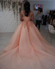 Modest Lace Cap Sleeves Organza Quinceanera Dresses Ball Gowns