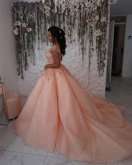 Modest Lace Cap Sleeves Organza Quinceanera Dresses Ball Gowns