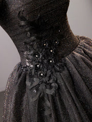 Black Square Neckline Tulle Long Prom Dresses, Shiny Tulle Black Evening Dress
