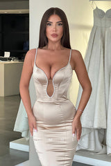 P1083 - Spaghetti Straps Illusion V-Neck Mermaid Sleeveless Prom Party Formal Dress