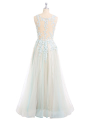Illusion Neck Two Colors Tulle Dress-Champagne