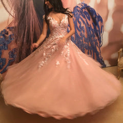 Pretty Pink Tulle Princess Style Cap Sleeves Quinceanera Dresses Lace Embroidery