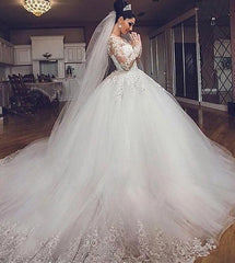 Ball Gown Long Sleeves Tulle V-neck Court Train Wedding Dresses DT1414