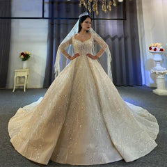 Customized Luxury Wedding Dresses For Formal Party Lace Appliques