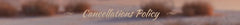 BIAOFEI Customized Ladies Lace Satin Mermaid Wedding Dresses