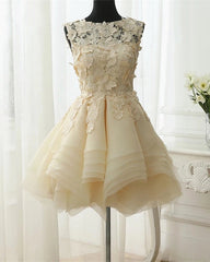Short Floral Lace Ball Gowns Organza Layered Dress