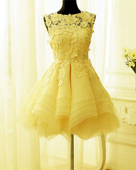 Short Floral Lace Ball Gowns Organza Layered Dress
