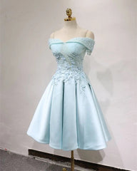 Short Off Shoulder Prom Homecoming Dresses Lace Embroidery