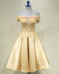 Short Off Shoulder Prom Homecoming Dresses Lace Embroidery