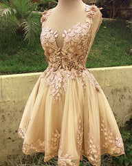 Short Tulle Homecoming Dresses Lace Embroidery