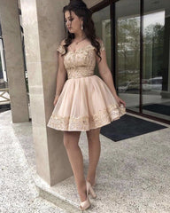 Short Tulle Homecoming Dresses Off The Shoulder Lace Embroidery