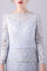Lace Sheath Long Sleeves Floor Length Mother of the Bride Dress