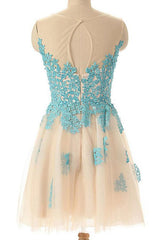 Sleeveless Open Back Light Blue Homecoming Dress With Appliques TP0004
