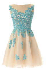 Sleeveless Open Back Light Blue Homecoming Dress With Appliques TP0004